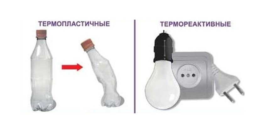 поли