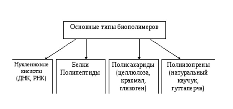 таблица