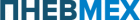 Пневмех