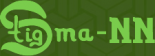 Стигма-НН